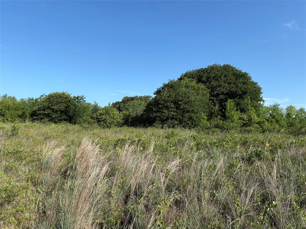 16 FM 571 Gorman, TX 76454