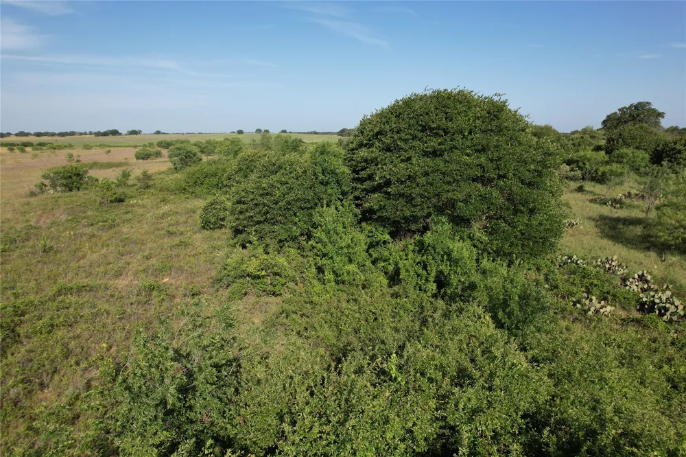 16 FM 571 Gorman, TX 76454