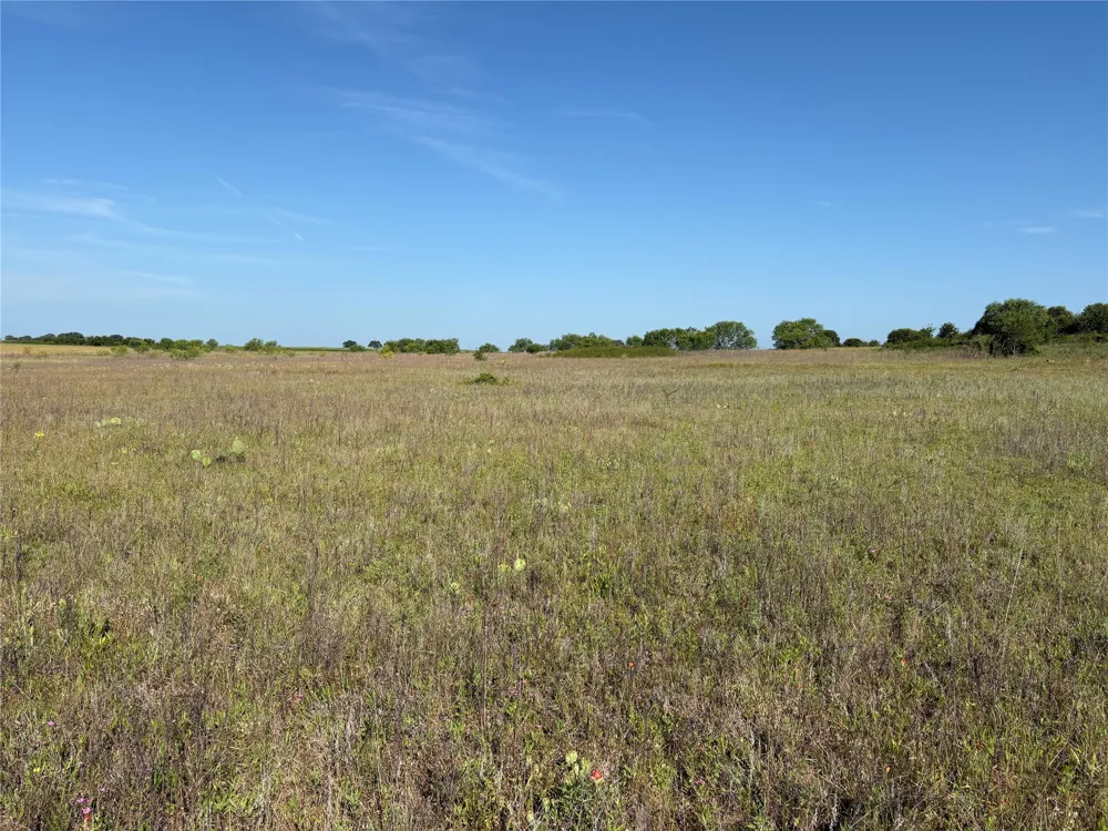 16 FM 571 Gorman, TX 76454