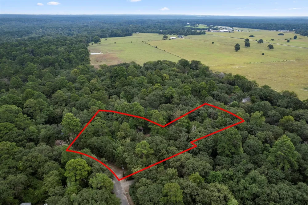 177 Woodfern Glen Holly Lake Ranch, TX 75765
