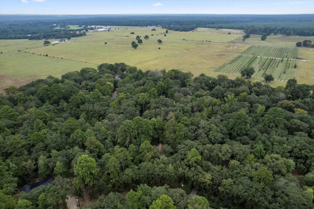 177 Woodfern Glen Holly Lake Ranch, TX 75765