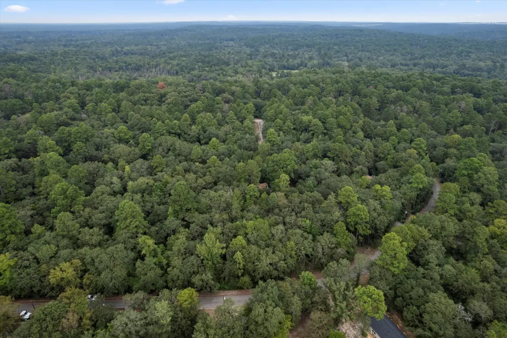 177 Woodfern Glen Holly Lake Ranch, TX 75765