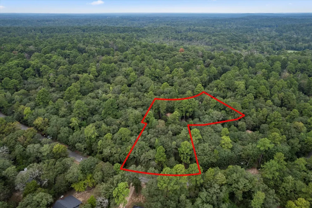 177 Woodfern Glen Holly Lake Ranch, TX 75765