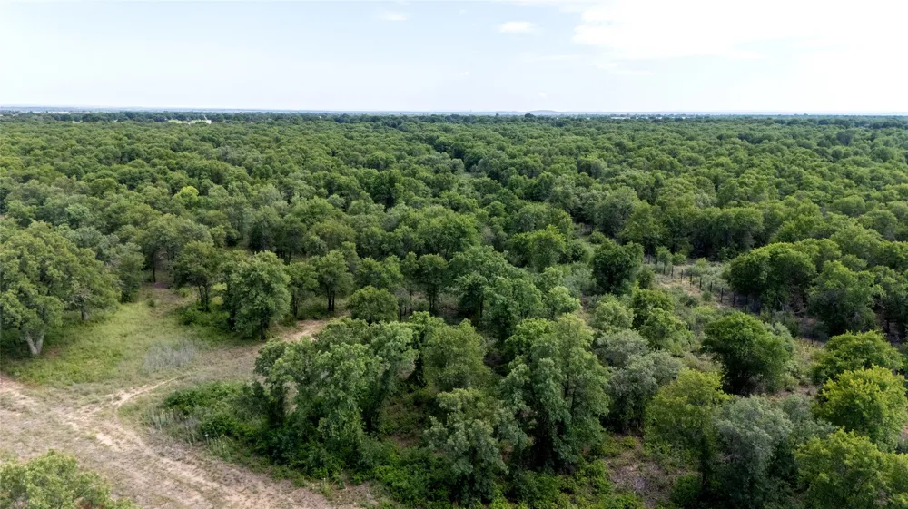 10818 County Road 335 Hawley, TX 79525