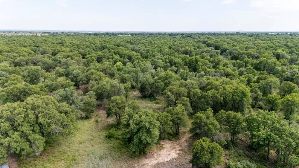 10818 County Road 335 Hawley, TX 79525