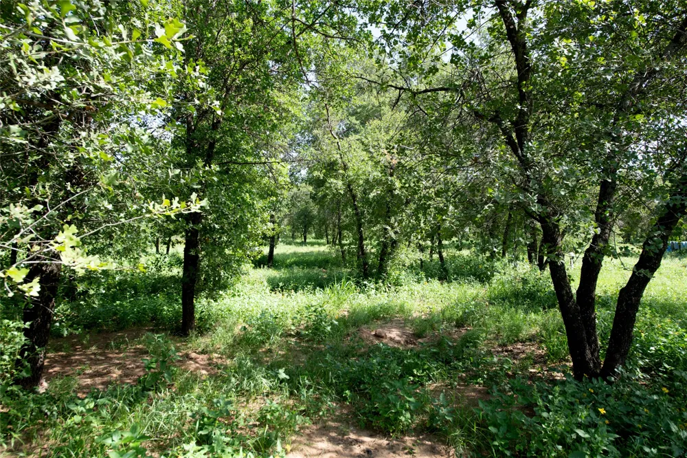 10818 County Road 335 Hawley, TX 79525