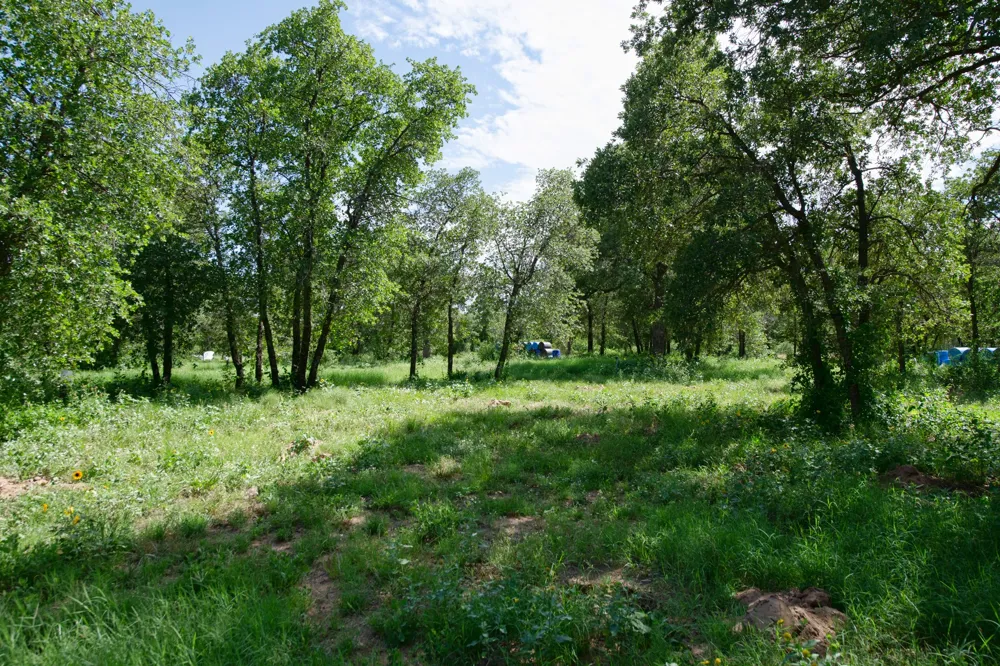 10818 County Road 335 Hawley, TX 79525