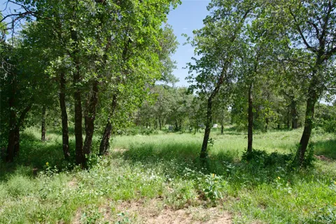 10818 County Road 335