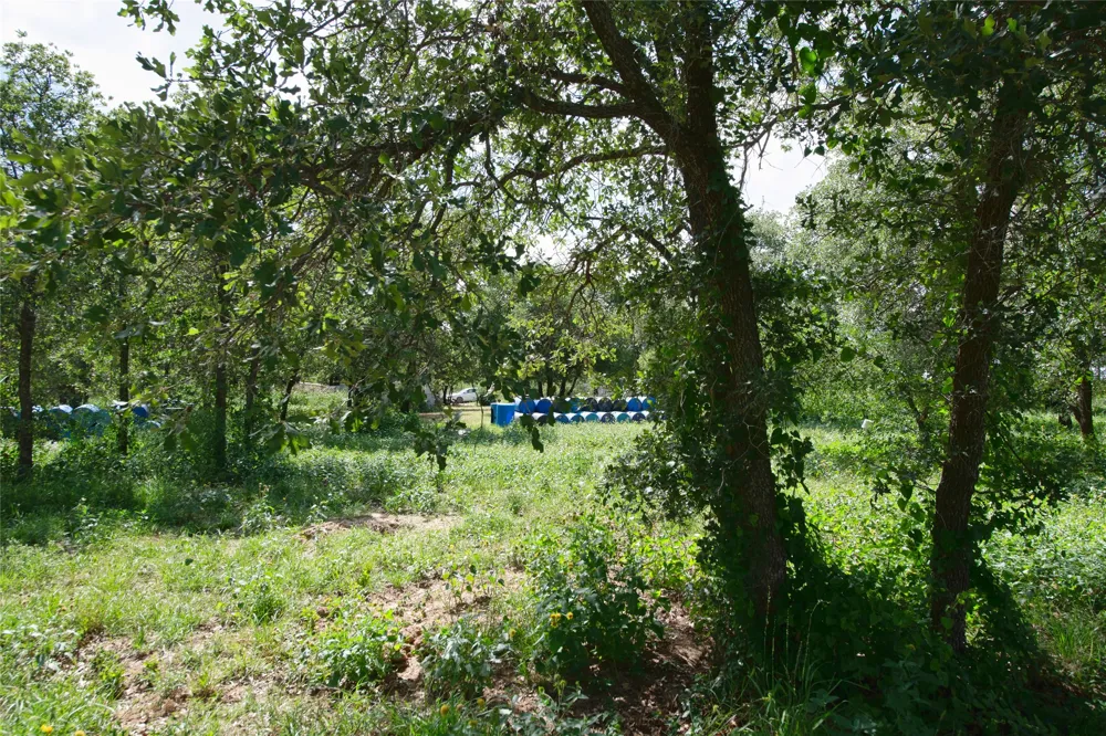 10818 County Road 335 Hawley, TX 79525