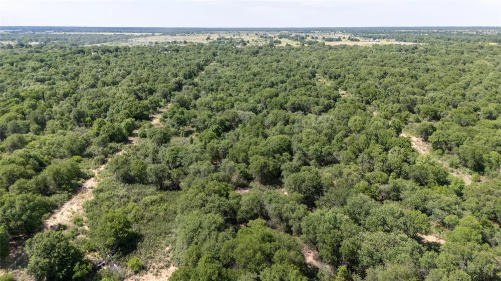 10818 County Road 335 Hawley, TX 79525
