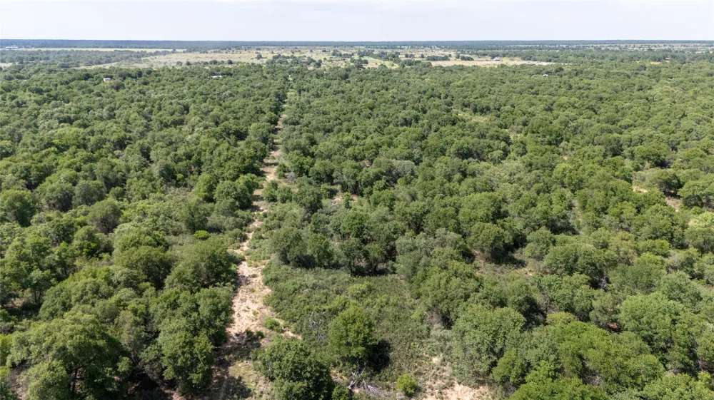 10818 County Road 335 Hawley, TX 79525