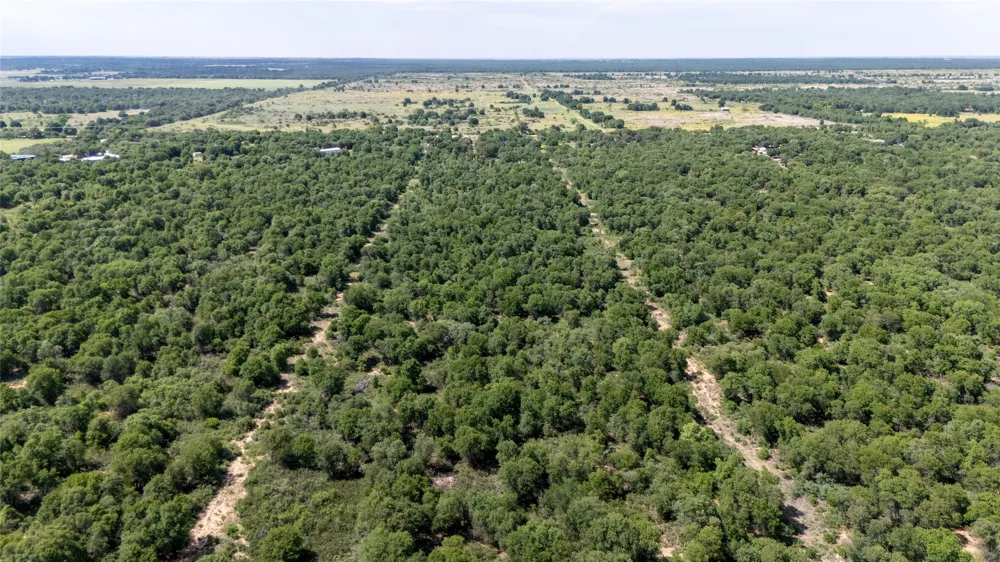 10818 County Road 335 Hawley, TX 79525