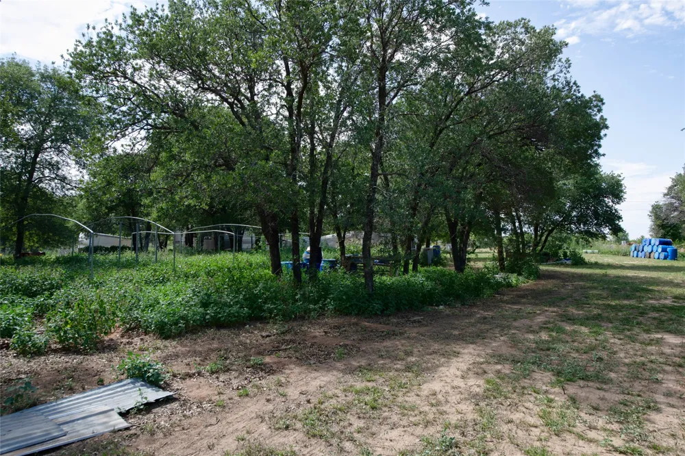 10818 County Road 335 Hawley, TX 79525