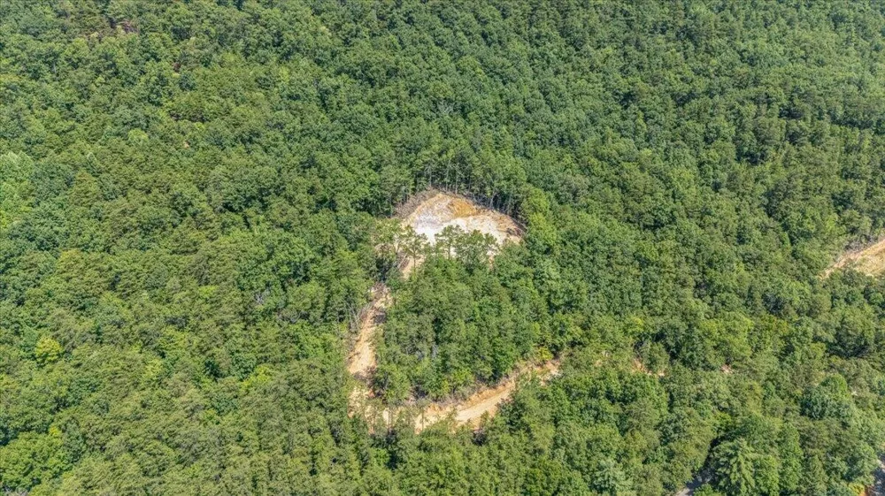 1200 Steer Creek Road Tellico Plains, TN 37385