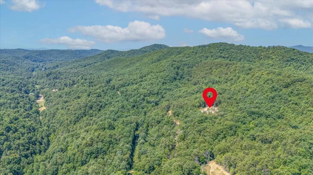 1200 Steer Creek Road Tellico Plains, TN 37385