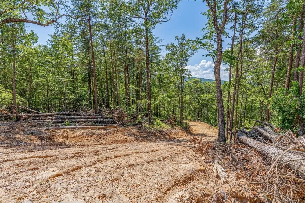 1200 Steer Creek Road Tellico Plains, TN 37385