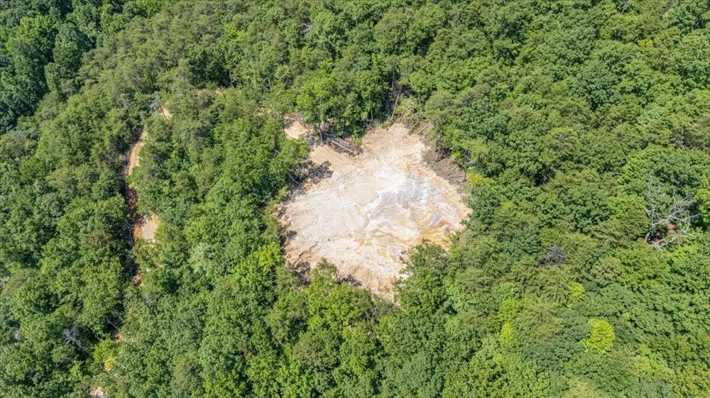 1200 Steer Creek Road Tellico Plains, TN 37385