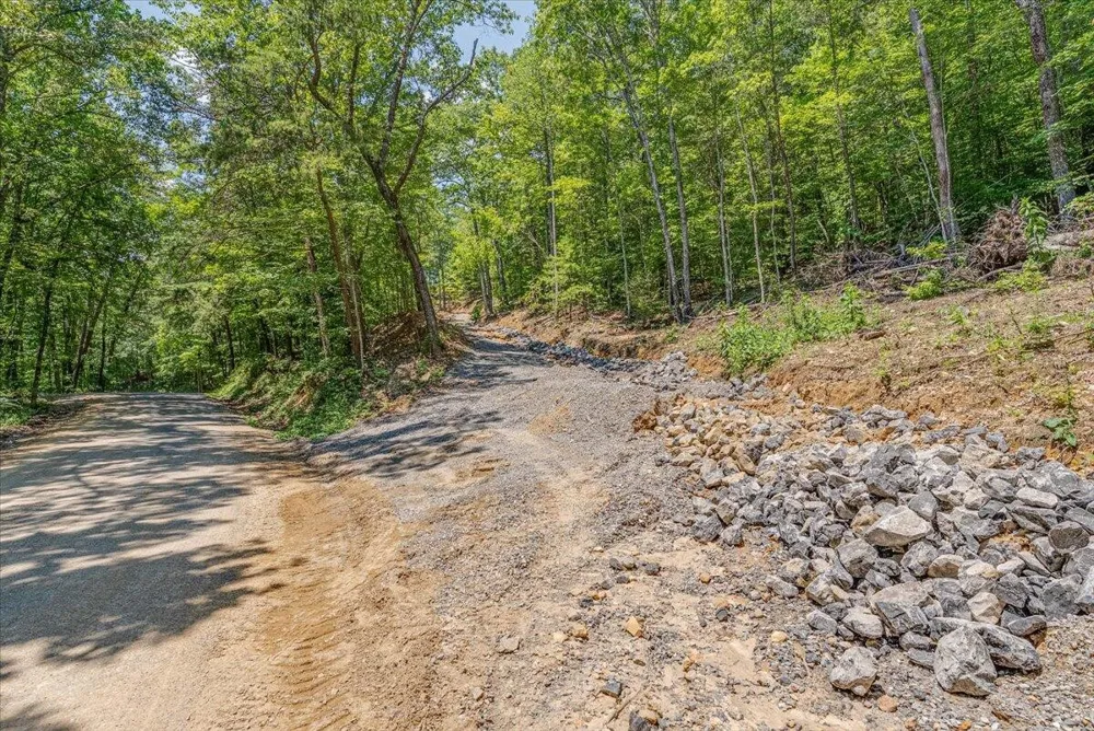 1200 Steer Creek Road Tellico Plains, TN 37385