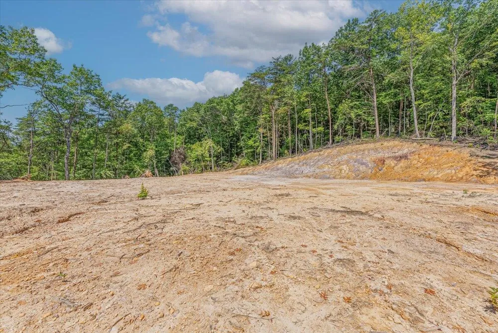 1200 Steer Creek Road Tellico Plains, TN 37385
