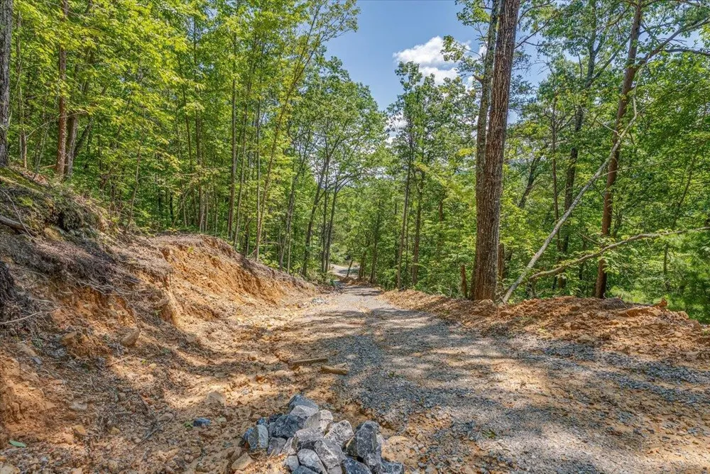 1200 Steer Creek Road Tellico Plains, TN 37385