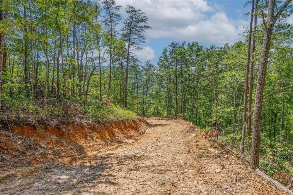 1200 Steer Creek Road Tellico Plains, TN 37385