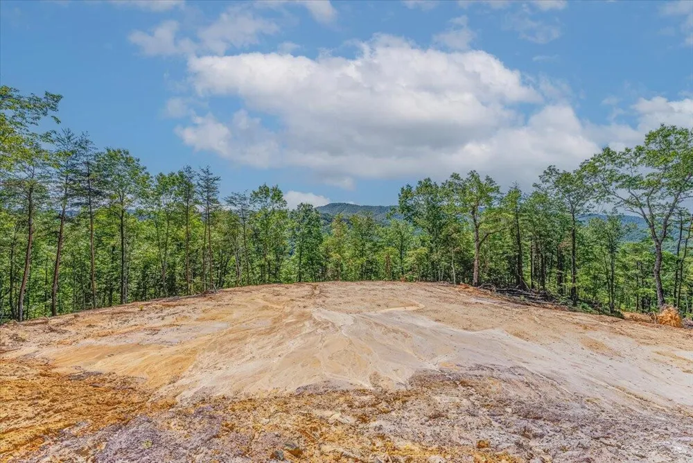 1200 Steer Creek Road Tellico Plains, TN 37385