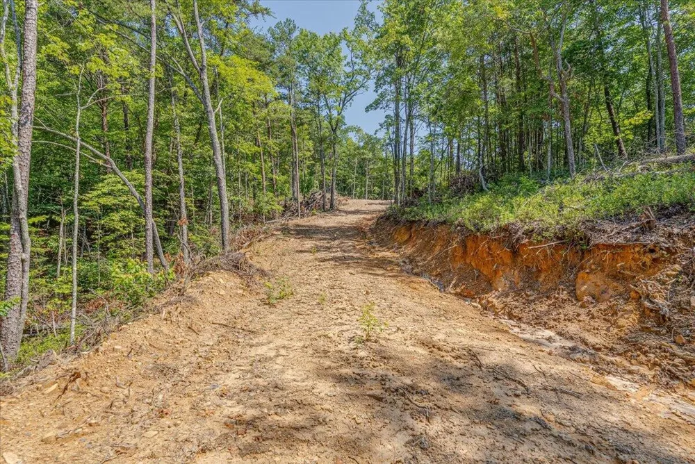 1200 Steer Creek Road Tellico Plains, TN 37385