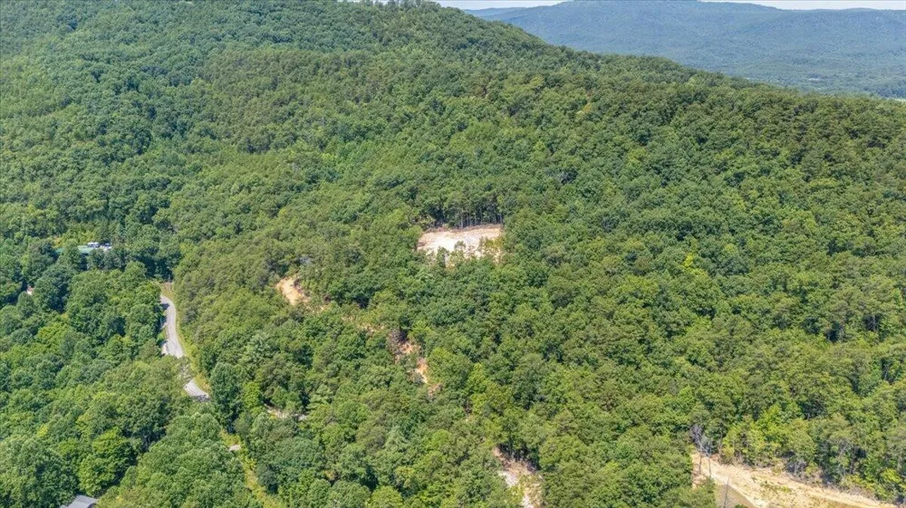 1200 Steer Creek Road Tellico Plains, TN 37385