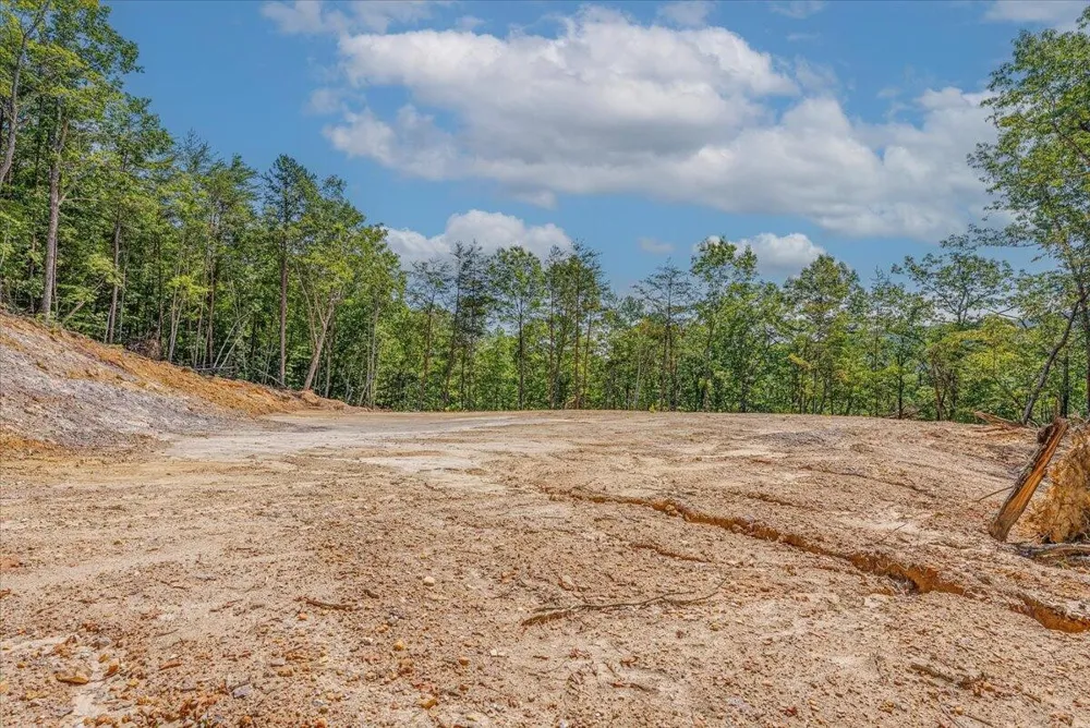 1200 Steer Creek Road Tellico Plains, TN 37385