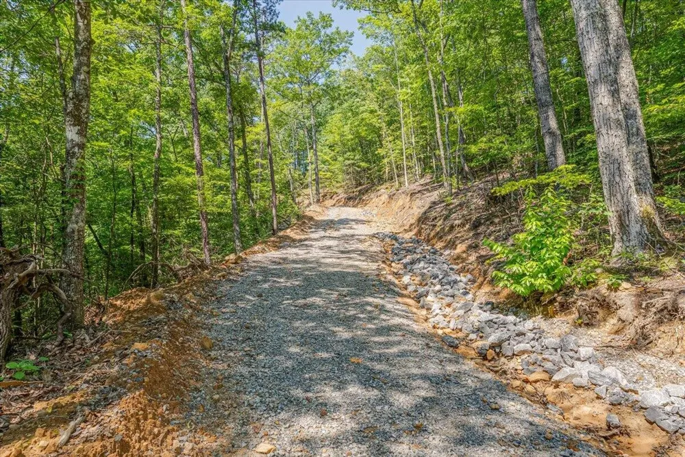 1200 Steer Creek Road Tellico Plains, TN 37385
