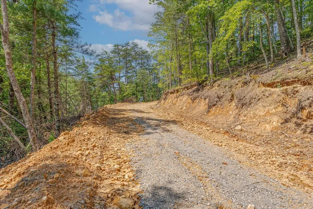 1200 Steer Creek Road Tellico Plains, TN 37385