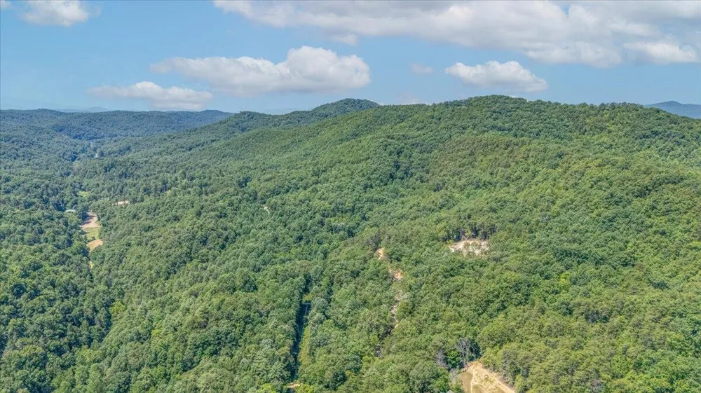 1200 Steer Creek Road Tellico Plains, TN 37385