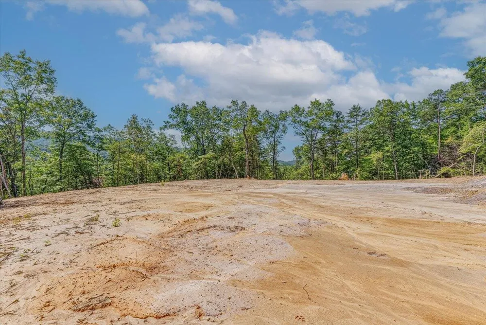1200 Steer Creek Road Tellico Plains, TN 37385