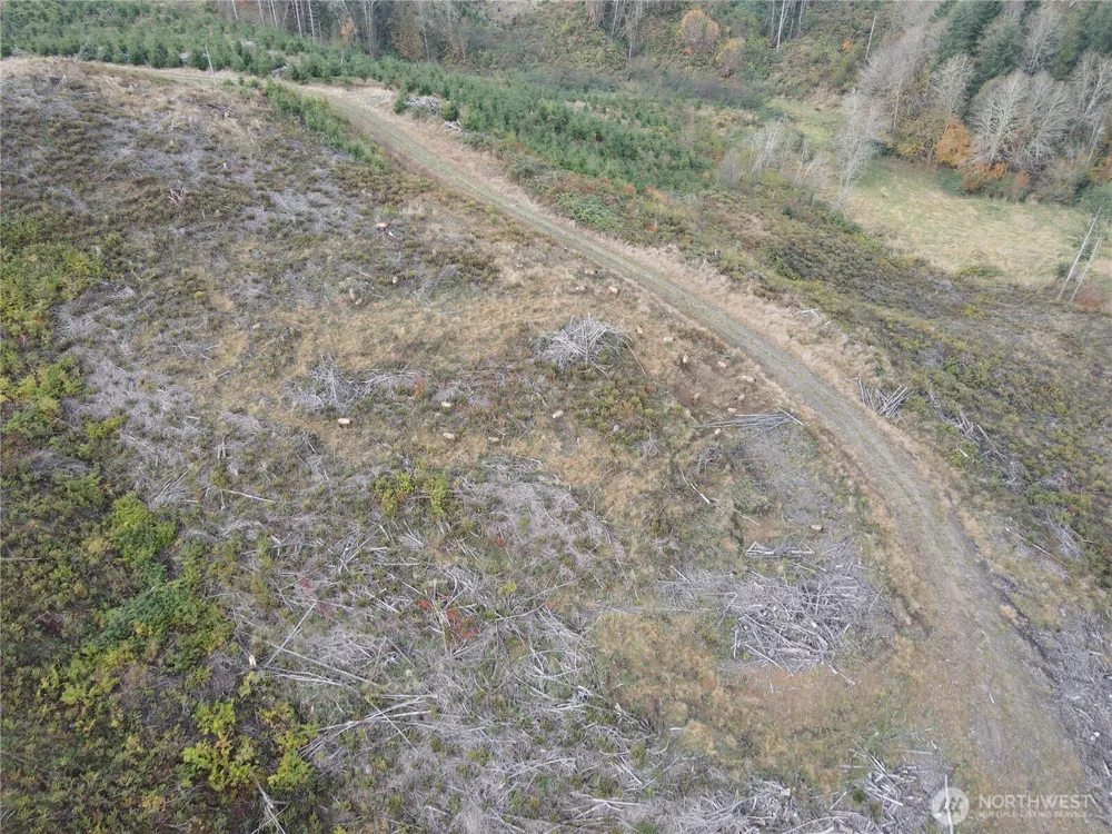 1929 W State Route 4 Skamokawa, WA 98647