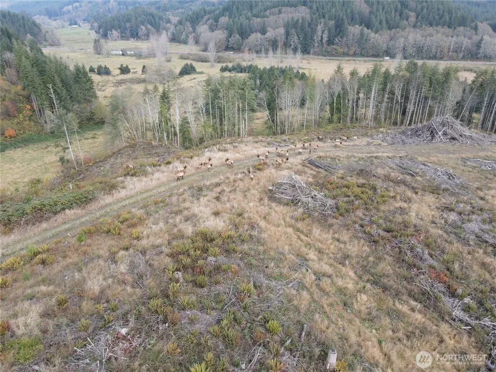 1929 W State Route 4 Skamokawa, WA 98647