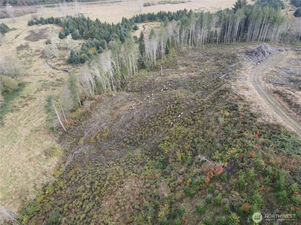 1929 W State Route 4 Skamokawa, WA 98647
