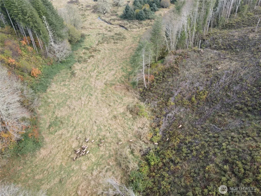 1929 W State Route 4 Skamokawa, WA 98647