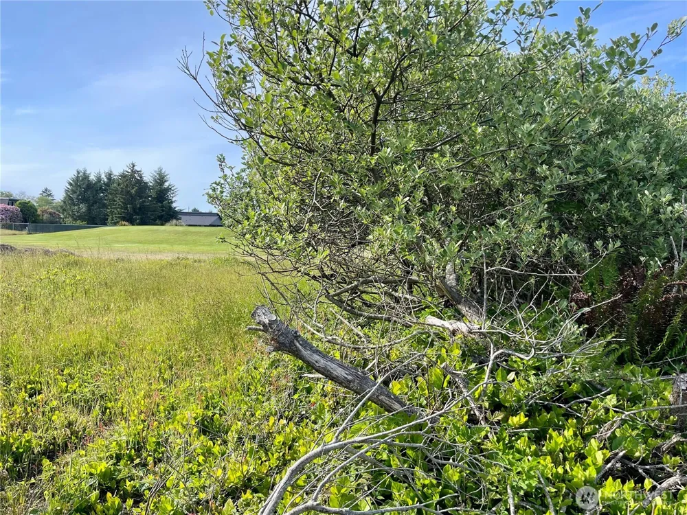 301 Octopus Avenue NE Ocean Shores, WA 98569