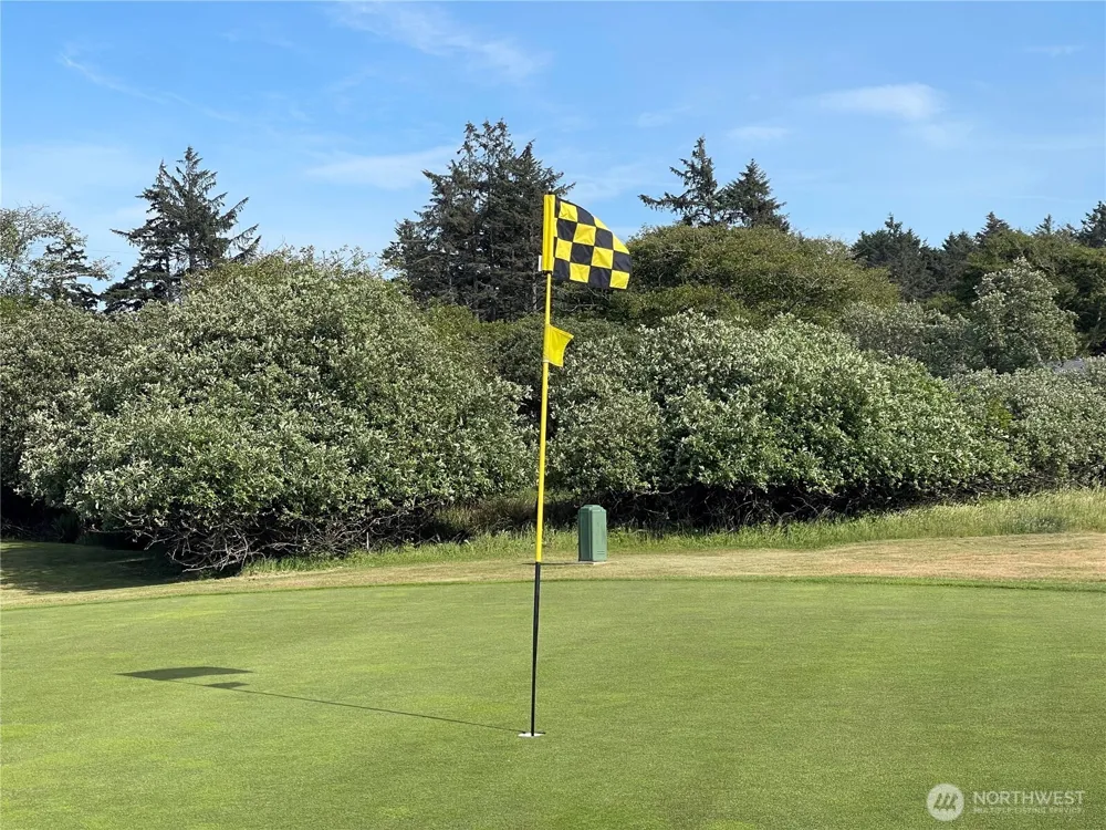 301 Octopus Avenue NE Ocean Shores, WA 98569