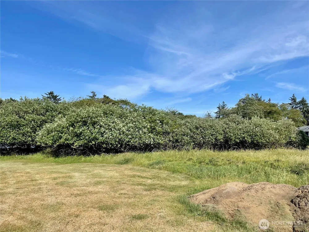 301 Octopus Avenue NE Ocean Shores, WA 98569