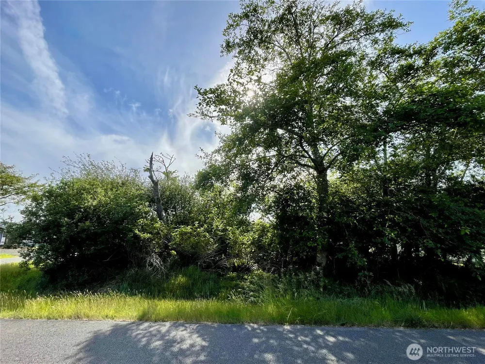301 Octopus Avenue NE Ocean Shores, WA 98569
