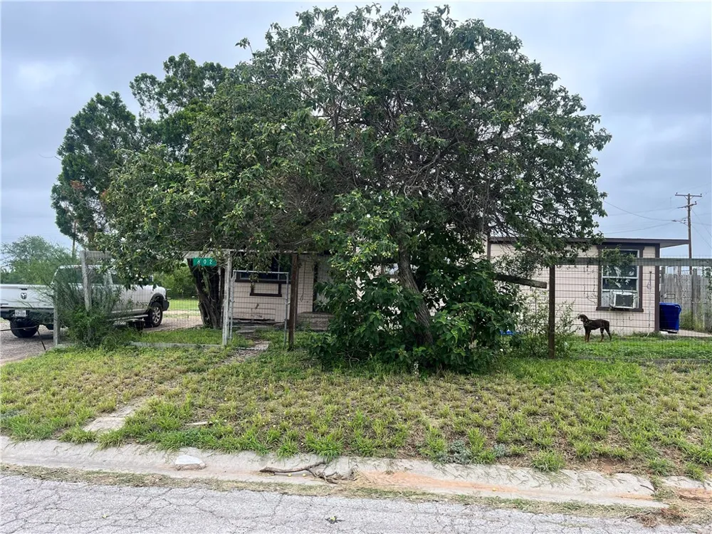 602 Richard Cruz Street Freer, TX 78357