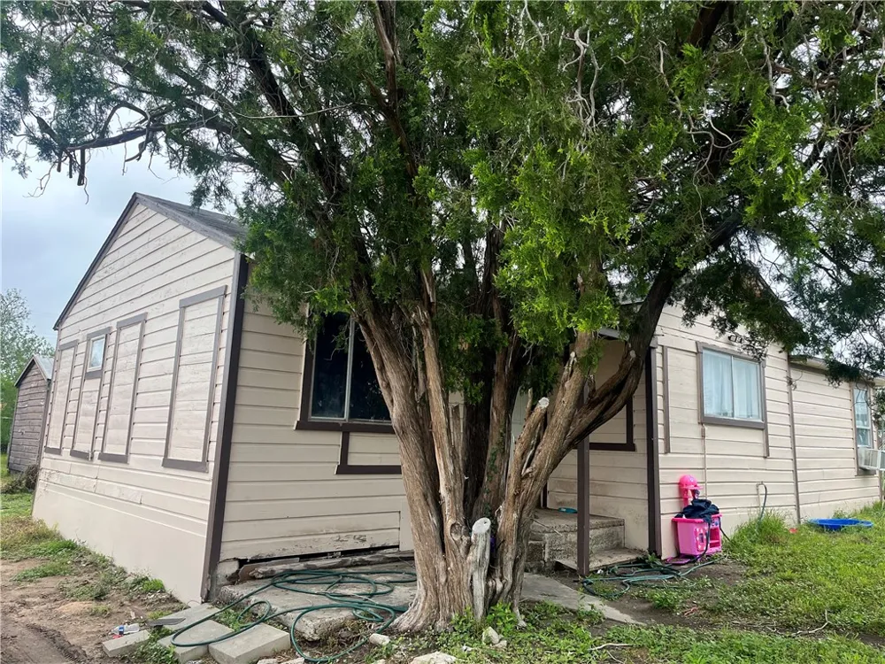 602 Richard Cruz Street Freer, TX 78357