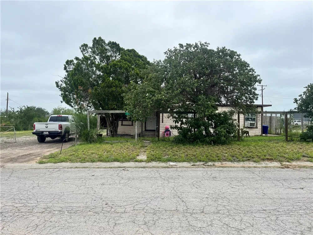 602 Richard Cruz Street Freer, TX 78357