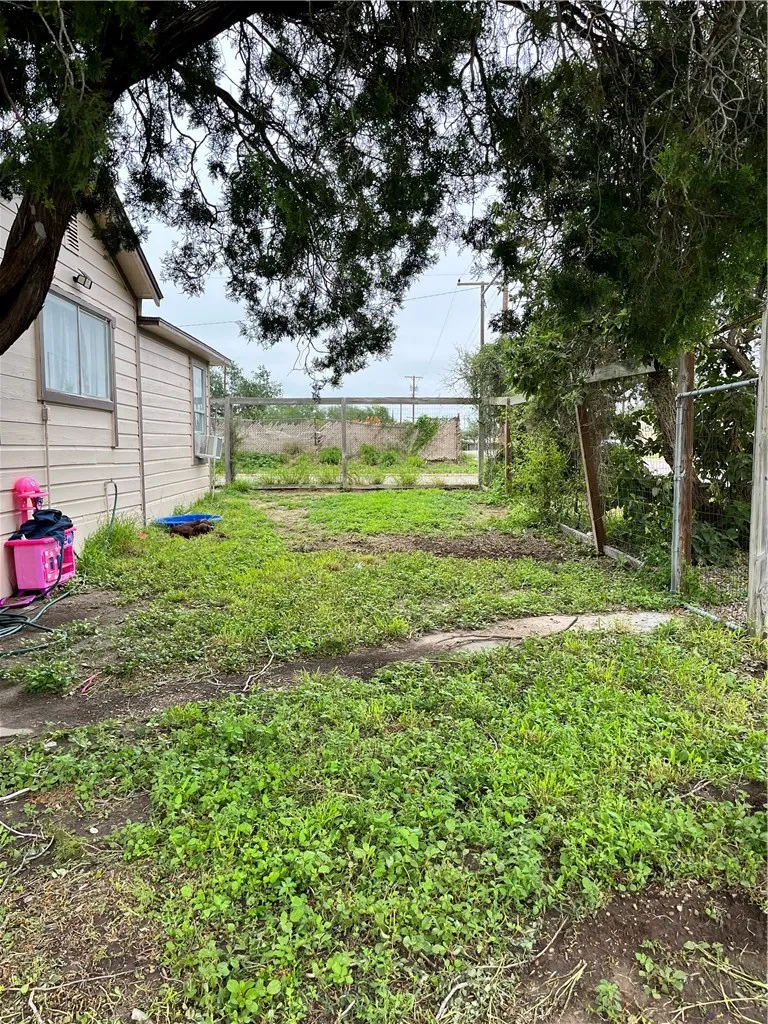 602 Richard Cruz Street Freer, TX 78357