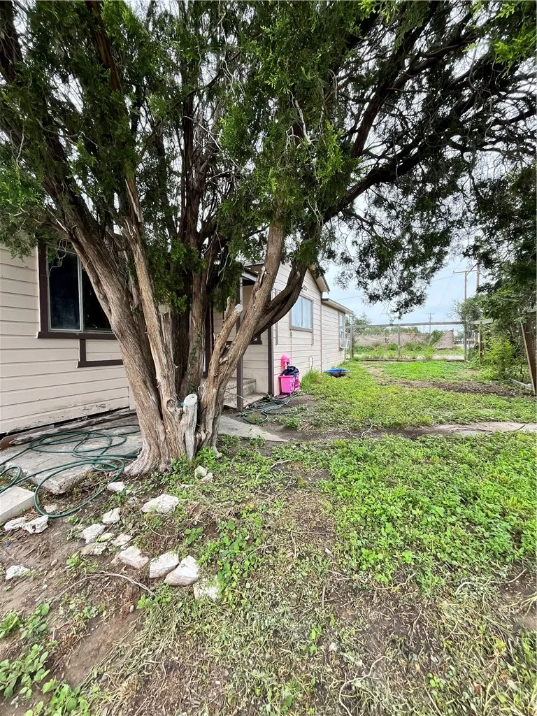 602 Richard Cruz Street Freer, TX 78357