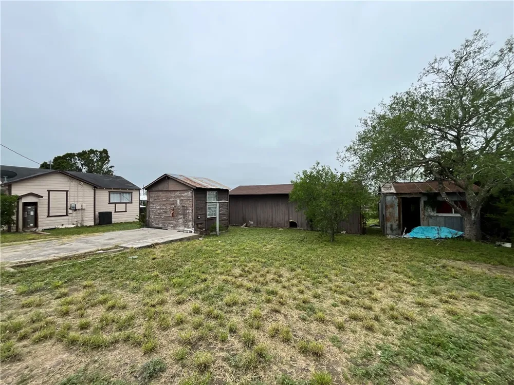 602 Richard Cruz Street Freer, TX 78357