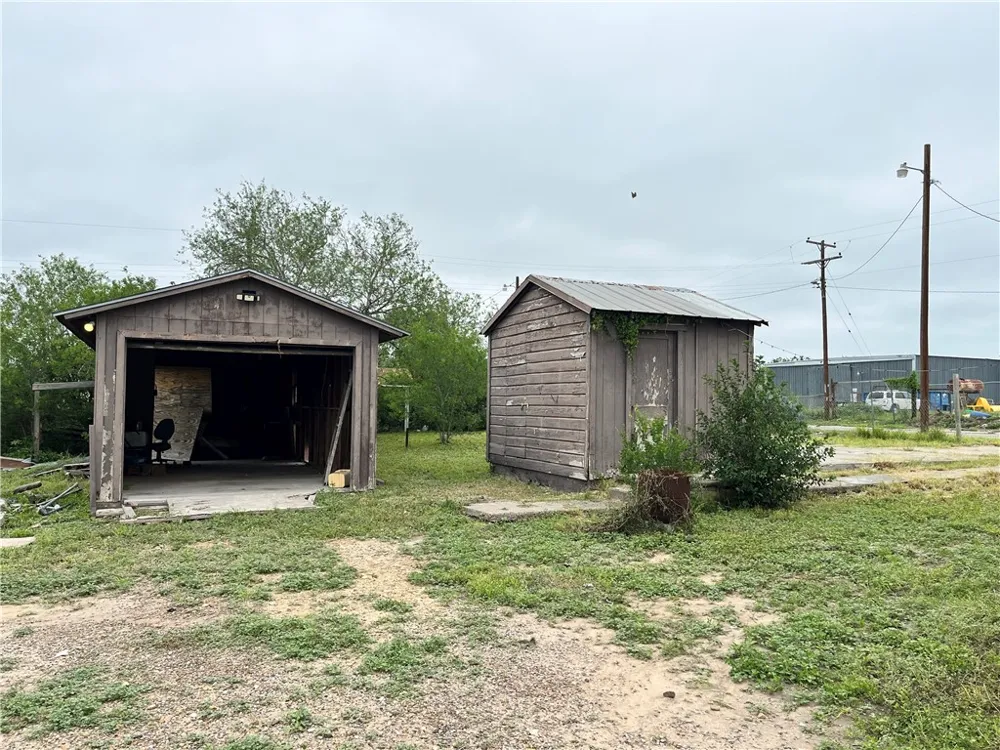 602 Richard Cruz Street Freer, TX 78357