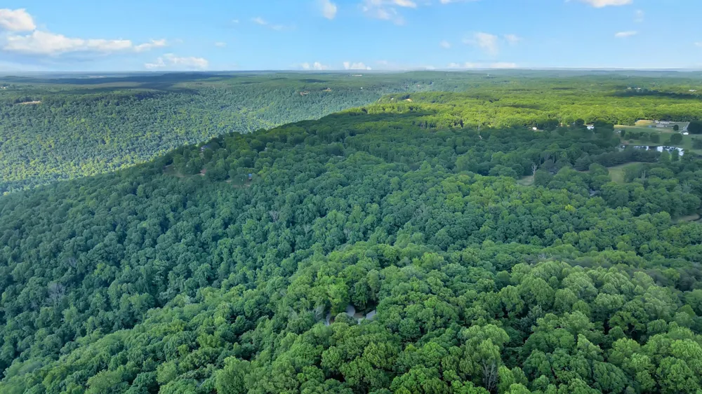 80 Unaka Dr Monteagle, TN 37356