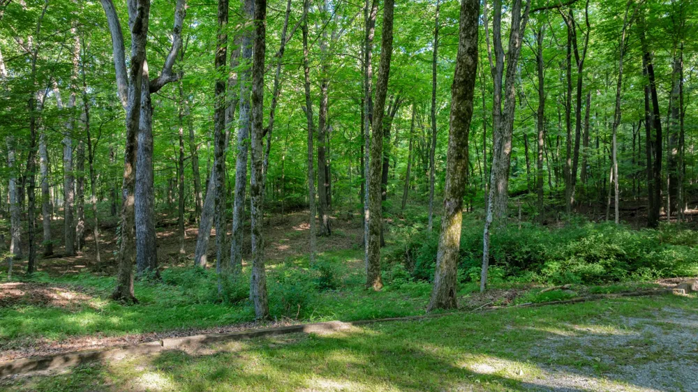 80 Unaka Dr Monteagle, TN 37356